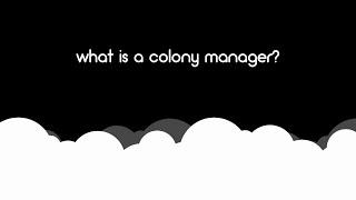 What Is A Colony Manager?