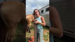diml 🫶 #western #horse #rodeo #horsegirl #country #barrelracer #barrelhorse #equestrian #sorrel