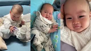 Watch the Cutest Baby Moments | Sweet Laughs and Joyful Baby Adventures