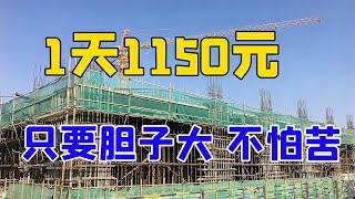 只要胆子大、能吃苦，待遇1天1150元，月薪35000，你敢去干吗【三农雷哥】