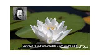 Four Ways To Center Part 1 Preview - Lotus - with Alan Watts