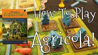 A Dicey "Walkthrough Review" of Agricola Revised Edition!