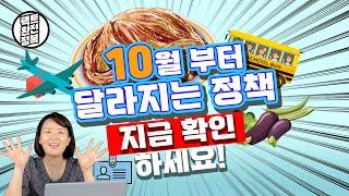 10월부터 달라지는 정책 안내 | 팩트완전정복 시즌4 Ep.69
