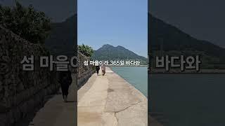 #고흥 #쑥섬 #고양이섬 #수국명소 #수국 #여행그리기 #여행 #포토존 #travel #풍경그림 #국내여행 #꽃밭