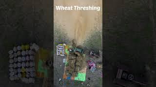 Drone Footage of Wheat Threshing Mechanism in Action