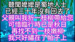 聽聞嬤嬤是蜀地人士，已經三十年沒有回去了，父親叫我折一枝柳帶給您，可惜臨行時，已是秋日，再找不到一枝嫩柳，我只好繡在了帕子上【幸福人生】#為人處世#生活經驗#情感故事