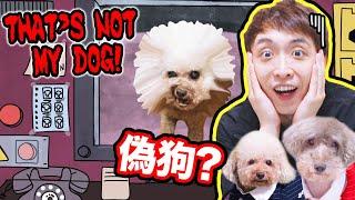 That's not my Neighbor！(DOG VERSION)