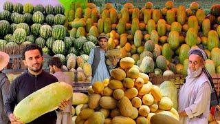 Kabul Melon - Watermelon Market | Afghanistan 2024 | کابل د تازه میوو مارکیټ