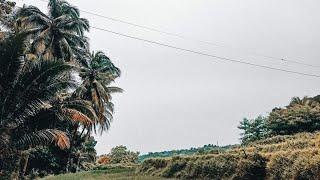 Jerry's Vlog Official Treasure/Igbayog Travel&Foods Special Place