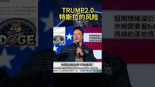 美股 | 特斯拉最大的風險：Elon Musk : Tesla’s Biggest Risk #美股