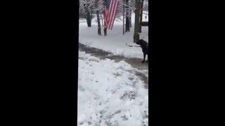 Nordic Plow Perfect Shovel - the BEST Snow pusher on the market!