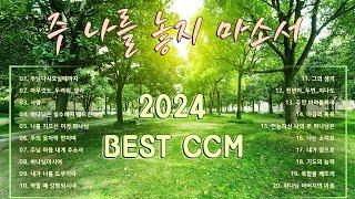 《𝐂𝐂𝐌 모음집》 2024 Best Ccm주 나를 놓지 마소서 - 지치고 힘들 때 위로가 되는 찬양 19곡 -보혈찬송 - 찬양모음 - ccm찬양