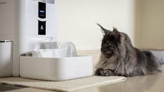 Is this the best pet fountain on the market?