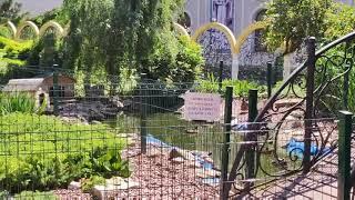 City walk in Odessa Monastery  Ukraine