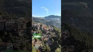 Scenic Shimla. #himachal #shimla #manali #himalayas #kullu #shorts