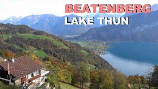 SWITZERLAND - Suiza - Beatenberg - Lake Thun