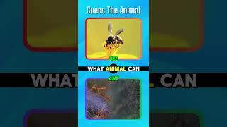 Which animal has no brain and no heart but can live for centuries? #quiz #riddles