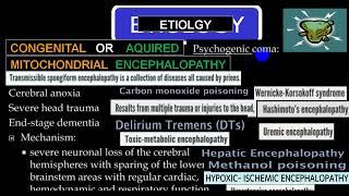 ENCEPHALOPATHY 4TH YR