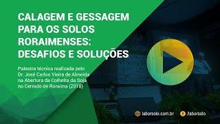 Calagem e Gessagem para os Solos Roraimenses: Desafios e Soluções