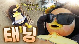 양양 바다 1000% 즐기는 시크릿 비법 | 인구해변 핫플에서 비키니 입고 파도 즐기기‍️ [EP. 353] (ENG)