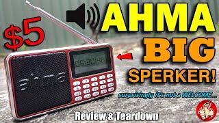 The "AHMA" Digital FM Radio & Media Player is actually pretty decent for $5