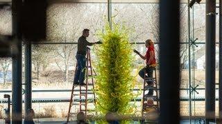 Chihuly Fern Green Tower Time Lapse