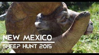 NM Bighorn Sheep Hunt 2015 | 182" Ram