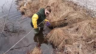 how to set for beaver on a crossover -DUNLAP LURES  SHE TRAPS