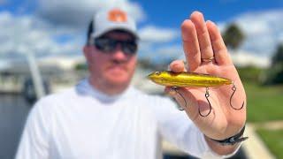 Fishing the Berkley J-Walker topwater lure for Whatever Bites!