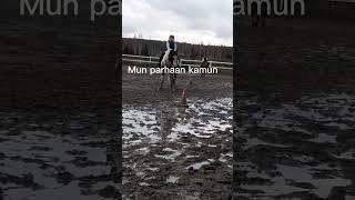 alisa ja ihanat hepat#alisa ja ihanat hepat#paras kaveri