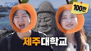 The Truth About Jeju Uni's Tangerine Packaging Department [Tourism Management] | Jeongwaja ep.76