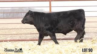 Lot 90 - M-R/SCC LOVER BOY 421M