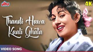 Thandi Hawa Kaali Ghata COLOR In 4K - Madhubala Songs - Geeta Dutt - Mr & Mrs 55 (1955)