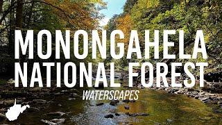 Fall Waterscapes from Various Spots in the Monongahela National Forest of West Virginia!