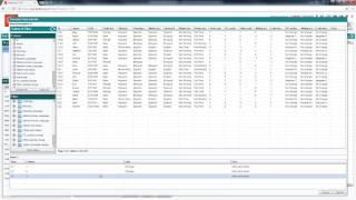 Descriptor Set up | Qualitative and Mixed Methods Data Analysis | Great Research Made Easy