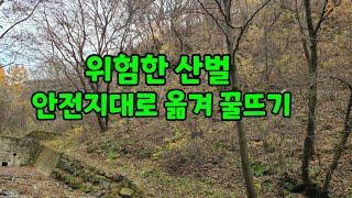 위험한 산벌 안전지대로. 이동해서. 꿀 뜨기 