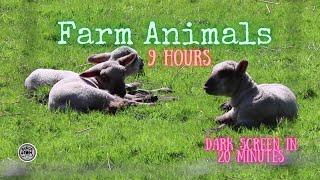  The Sound of Farm Animals and Nature ⨀ Dark Screen ⨀ 9 Hours