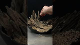 Moss Bonsai  Moss Micro Landscape bonsai art苔藓微景观《nana》 works welcome to subscribe #shorts 变废为宝