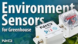 Industrial IoT Wireless RTD Temperature Sensor for Greenhouses