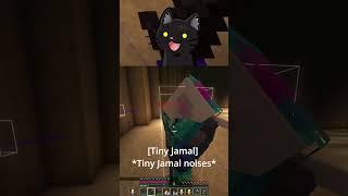 The Homies vs Tiny Jamal  #minecraft #mcyt #mcyts #minecraftclips  #minecraftgameplay #shorts