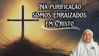 NA PURIFICAÇÃO SOMOS ENRAIZADOS EM CRISTO