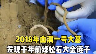 2018年專家在血渭一號大墓，發現純金大金鏈子，國內首次發現 #胡八一探秘古墓 #古墓 #古墓挖掘 #歷史謎團 #兵馬俑的奧秘