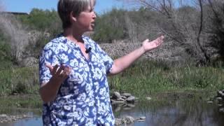 The Importance of Riparian Areas