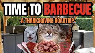 Cat MEMES: TIME TO BARBECUE!