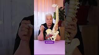 МОЖНО ЛИ С ПОМОЩЬЮ ДИАФРАГМАЛЬНЫХ ПРАКТИК ИЗБАВИТЬСЯ ОТ МИОМЫ?