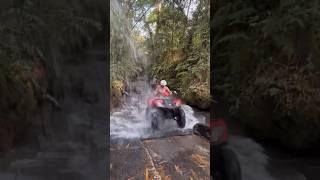 Atv Quad Bike Experience in Ubud #atvquadbike #ubudquadbike #balitourguide #bali2024 #travel #bali
