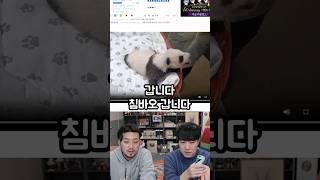 침바오
