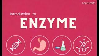 Introduction to Enzymes | How enzymes work? | Active site | Binding site