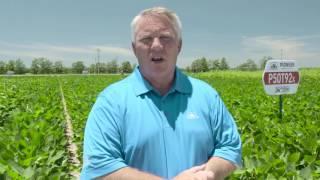 Fertilizer Mistakes with High-Yielding Soybeans