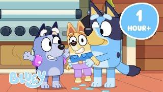 LIVE: Bluey Festive Full Episodes  1HOUR! | Bluey